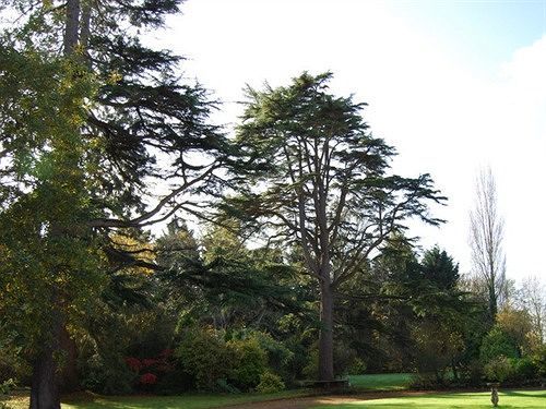 Langaller Manor House Taunton Zewnętrze zdjęcie